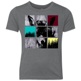 T-Shirts Premium Heather / YXS Fox Pane Youth Triblend T-Shirt