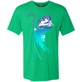 T-Shirts Envy / Small Frozen Fantasy Men's Triblend T-Shirt
