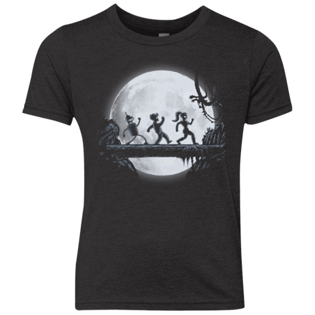 T-Shirts Vintage Black / YXS Future Matata Youth Triblend T-Shirt