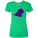 T-Shirts Envy / S Galaxy Cat Women's Triblend T-Shirt