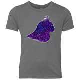 T-Shirts Premium Heather / YXS Galaxy Cat Youth Triblend T-Shirt
