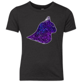T-Shirts Vintage Black / YXS Galaxy Cat Youth Triblend T-Shirt