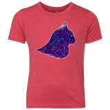 T-Shirts Vintage Red / YXS Galaxy Cat Youth Triblend T-Shirt