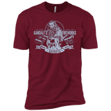 T-Shirts Cardinal / X-Small Gandalfs Fireworks Men's Premium T-Shirt