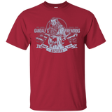 T-Shirts Cardinal / Small Gandalfs Fireworks T-Shirt