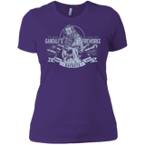 T-Shirts Purple / X-Small Gandalfs Fireworks Women's Premium T-Shirt