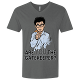 T-Shirts Heavy Metal / X-Small gatekeeper Men's Premium V-Neck