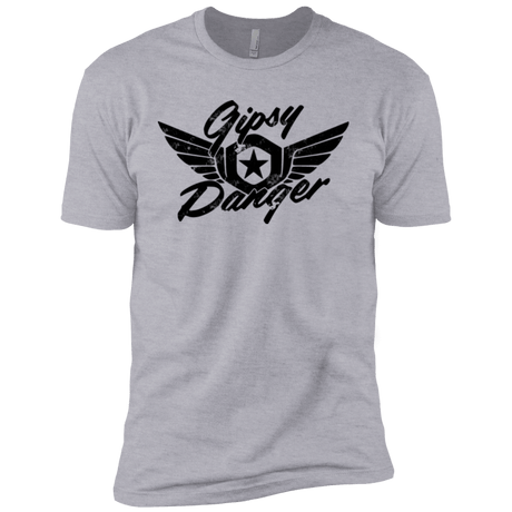 T-Shirts Heather Grey / YXS Gipsy danger Boys Premium T-Shirt