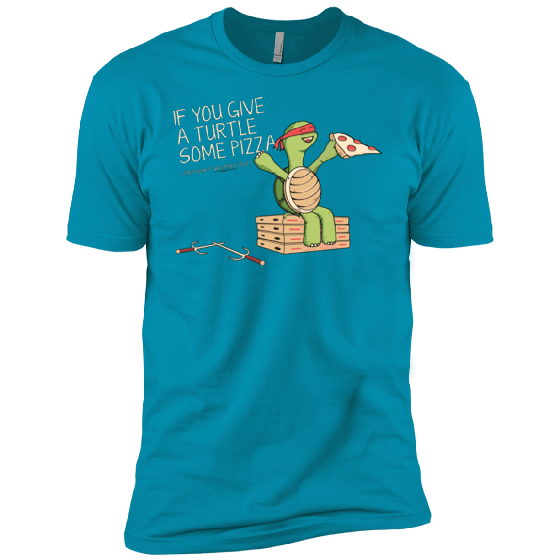 T-Shirts Turquoise / YXS Give a Turtle Boys Premium T-Shirt