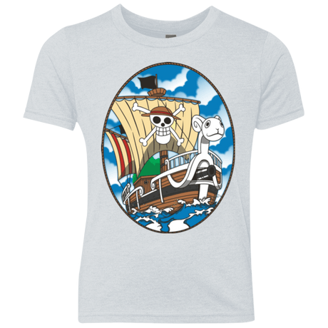 T-Shirts Heather White / YXS Going Merry Youth Triblend T-Shirt
