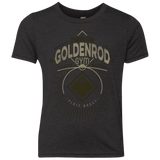 T-Shirts Vintage Black / YXS Goldenrod Gym Youth Triblend T-Shirt