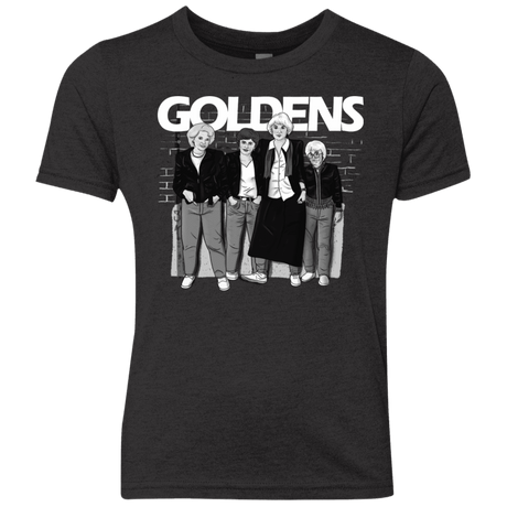 T-Shirts Vintage Black / YXS Goldens Youth Triblend T-Shirt