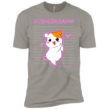 T-Shirts Light Grey / YXS Goshujinsama Boys Premium T-Shirt