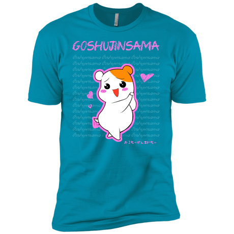 T-Shirts Turquoise / YXS Goshujinsama Boys Premium T-Shirt