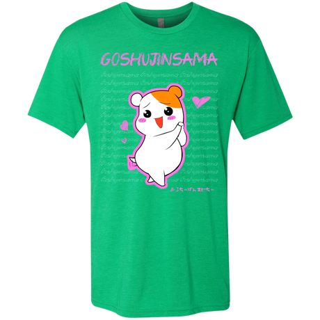 T-Shirts Envy / Small Goshujinsama Men's Triblend T-Shirt