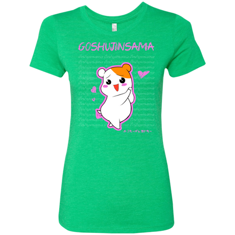 T-Shirts Envy / Small Goshujinsama Women's Triblend T-Shirt