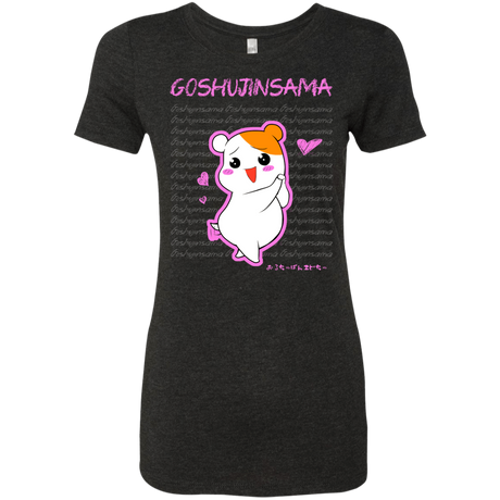 T-Shirts Vintage Black / Small Goshujinsama Women's Triblend T-Shirt