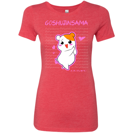 T-Shirts Vintage Red / Small Goshujinsama Women's Triblend T-Shirt