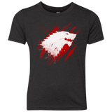 GOTB Youth Triblend T-Shirt