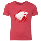 GOTB Youth Triblend T-Shirt