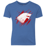 GOTB Youth Triblend T-Shirt