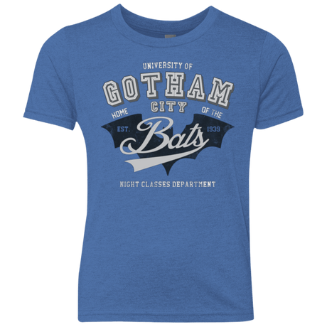 T-Shirts Vintage Royal / YXS Gotham U Youth Triblend T-Shirt