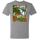T-Shirts Premium Heather / S Greetings from Scarif Men's Triblend T-Shirt