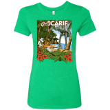 T-Shirts Envy / S Greetings from Scarif Women's Triblend T-Shirt