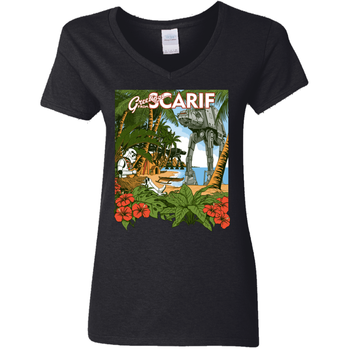 T-Shirts Black / S Greetings from Scarif Women's V-Neck T-Shirt