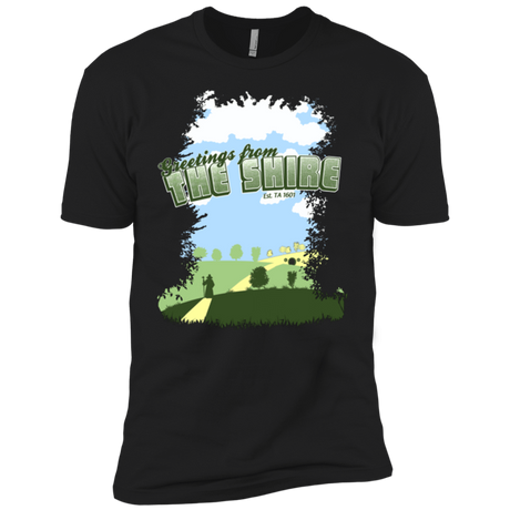 T-Shirts Black / YXS Greetings From Shire Boys Premium T-Shirt
