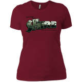 T-Shirts Scarlet / X-Small Greetings from the Shire Women's Premium T-Shirt