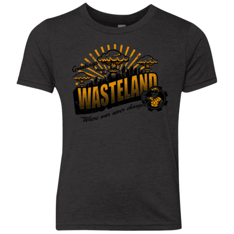T-Shirts Vintage Black / YXS Greetings from the Wasteland! Youth Triblend T-Shirt