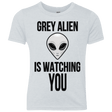 T-Shirts Heather White / YXS Grey Alien Youth Triblend T-Shirt