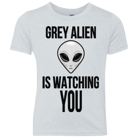T-Shirts Heather White / YXS Grey Alien Youth Triblend T-Shirt