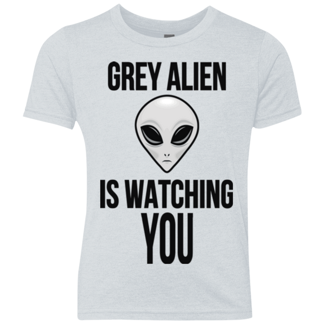 T-Shirts Heather White / YXS Grey Alien Youth Triblend T-Shirt