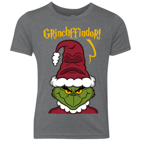T-Shirts Premium Heather / YXS Grinchffindor Youth Triblend T-Shirt