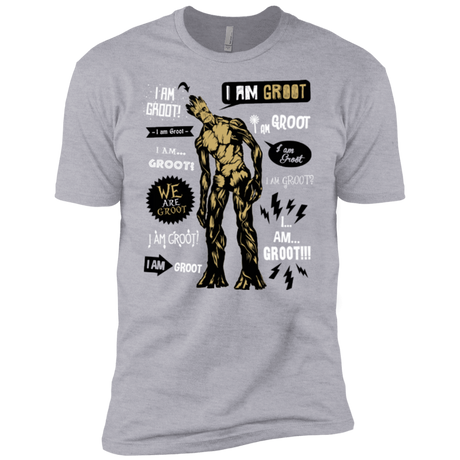 T-Shirts Heather Grey / YXS Groot Famous Quotes Boys Premium T-Shirt