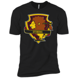 T-Shirts Black / YXS Gryffindorable Boys Premium T-Shirt