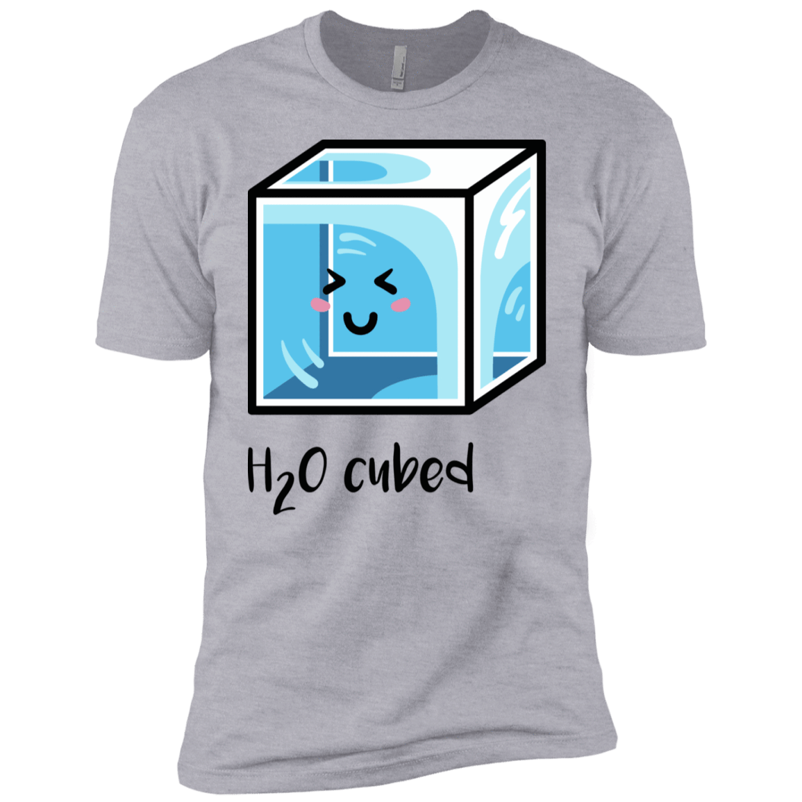 T-Shirts Heather Grey / YXS H2O Cubed Boys Premium T-Shirt