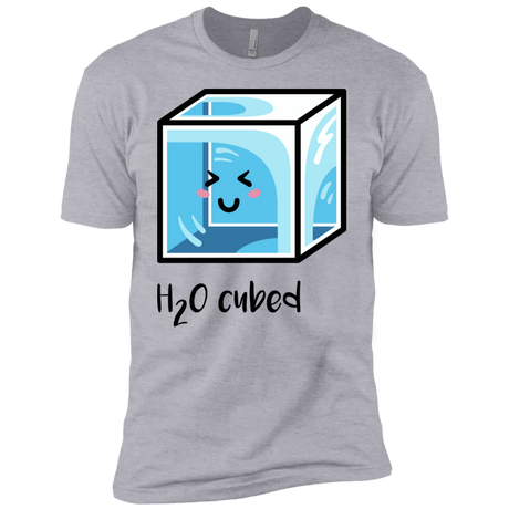 T-Shirts Heather Grey / YXS H2O Cubed Boys Premium T-Shirt