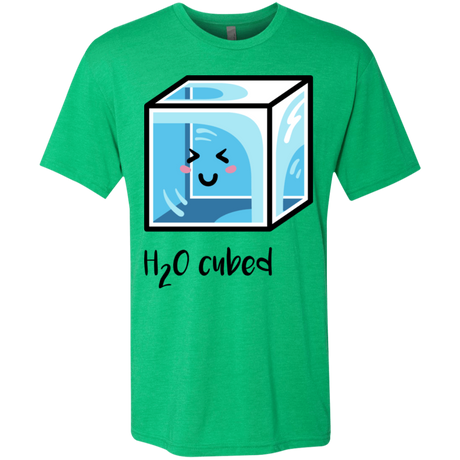 T-Shirts Envy / S H2O Cubed Men's Triblend T-Shirt