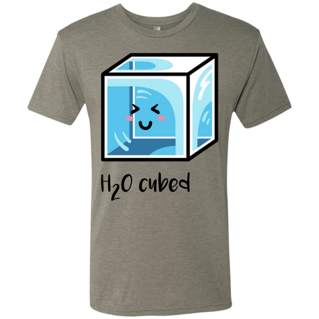 T-Shirts Venetian Grey / S H2O Cubed Men's Triblend T-Shirt