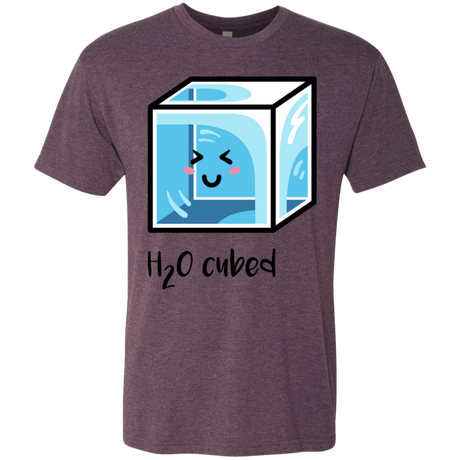 T-Shirts Vintage Purple / S H2O Cubed Men's Triblend T-Shirt