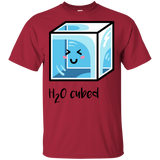 T-Shirts Cardinal / S H2O Cubed T-Shirt