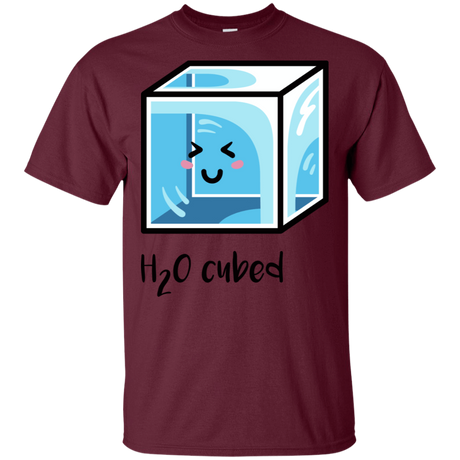 T-Shirts Maroon / S H2O Cubed T-Shirt