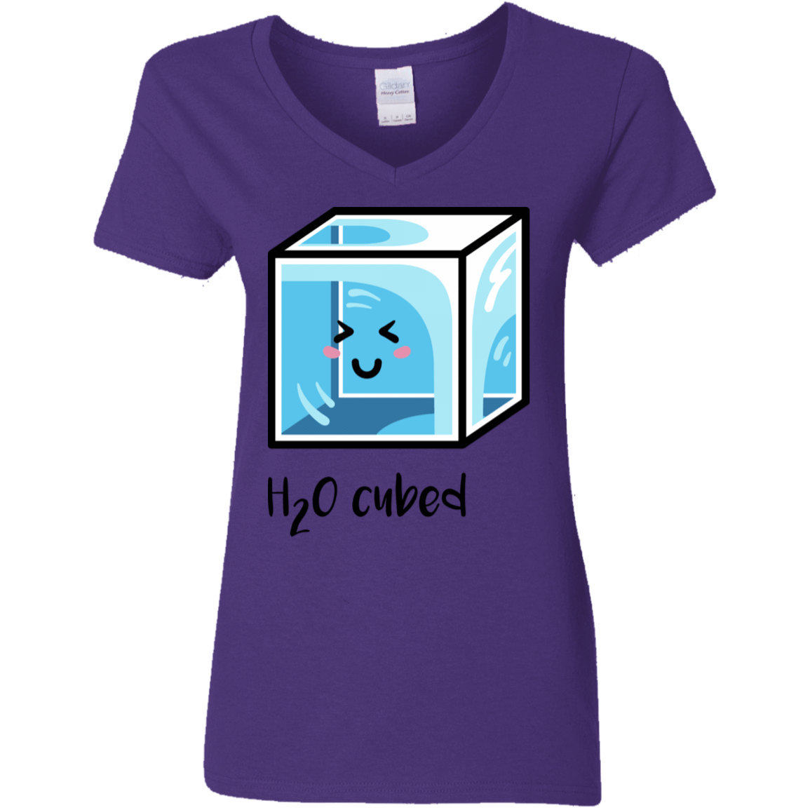 T-Shirts Purple / S H2O Cubed Women's V-Neck T-Shirt