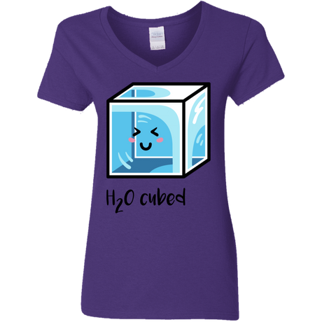 T-Shirts Purple / S H2O Cubed Women's V-Neck T-Shirt