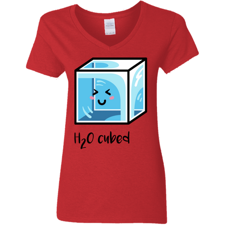 T-Shirts Red / S H2O Cubed Women's V-Neck T-Shirt