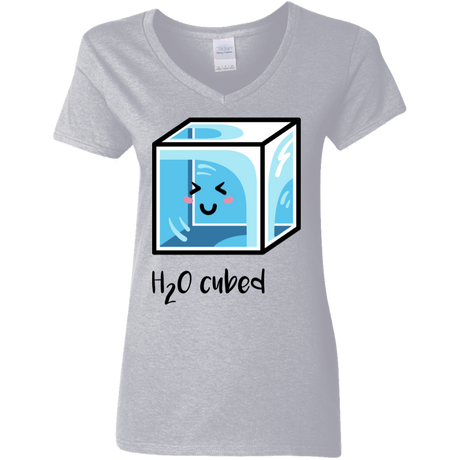 T-Shirts Sport Grey / S H2O Cubed Women's V-Neck T-Shirt