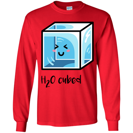T-Shirts Red / YS H2O Cubed Youth Long Sleeve T-Shirt